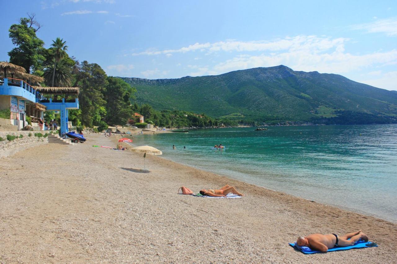 Apartments And Rooms With Parking Space Orebic, Peljesac - 10191 Bagian luar foto